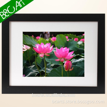 S(77276)Beautiful colored hot pink lotus flower painting